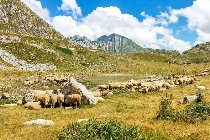 1-Day Montenegro Hiking Tour to Durmitor National Park - Prutaš and Crvena Greda around 1:00 p.m.