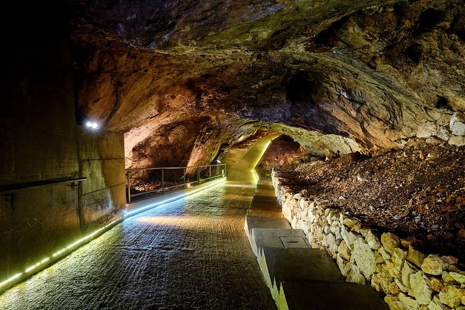 1-Hour Guided Lipa Cave Adventure in Montenegro - The little train to the cave entrance