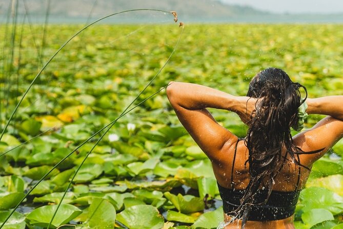 1-hour Kayak Adventure through Skadar Lake from Virpazar - Key points before you paddle