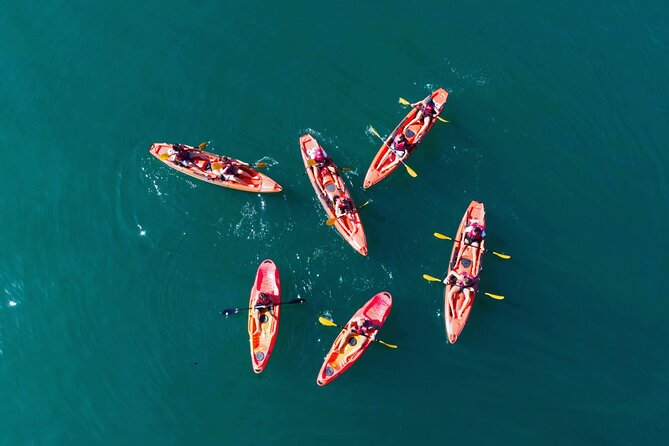 3 Hours Kayaking in Kotor Bay in Montenegro - Key Points for Your Kotor Bay Paddle