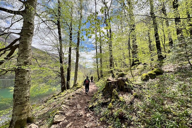 Biogradska Gora National Park Tour with Optional Add-Ons - The quiet stop at Moraca Monastery