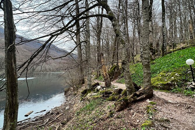 Biogradska Gora National Park Tour with Optional Add-Ons - What the private format is worth at $165.65