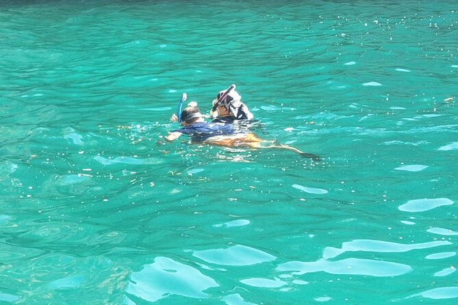 Blue Cave, Lady of Rocks , Perast and Mamula Speedboattour MW - Key points to know before you book