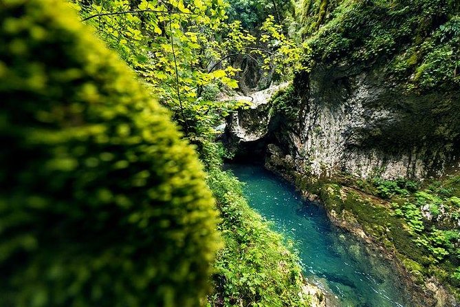 Durmitor - Black Lake & Tara River Canyon - North Montenegro tour - Guides, transport, and the private-tour advantage