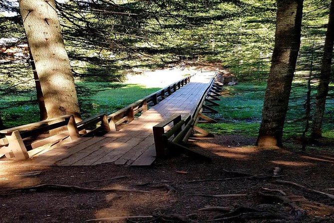 Durmitor National Park hiking tour - easy to moderate - Zminje Lake trades crowds for forest quiet