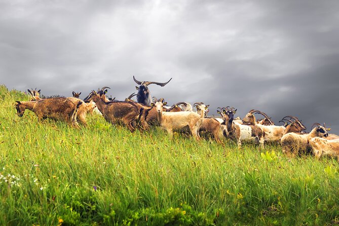 Durmitor National Park hiking tour - easy to moderate - How the timing works in real terms