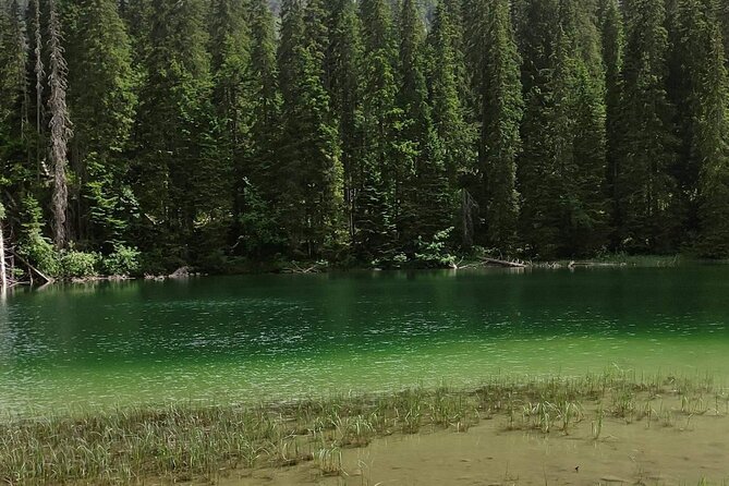 Durmitor National Park hiking tour - easy to moderate - A guide makes the natural details count