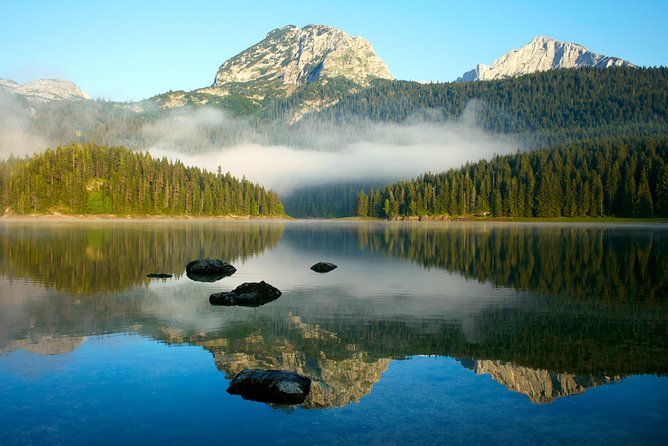 Durmitor National Park hiking tour - easy to moderate - Durmitor’s forest paths are the main event