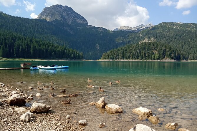 Durmitor NP private tour- Among Katuns, Shepherds and Geological Miracles - From Podgorica to the high Durmitor massif