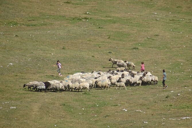 Durmitor NP private tour- Among Katuns, Shepherds and Geological Miracles - Black Lake, the park’s best-known stop