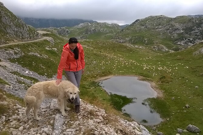 Durmitor NP private tour- Among Katuns, Shepherds and Geological Miracles - How demanding is the day?