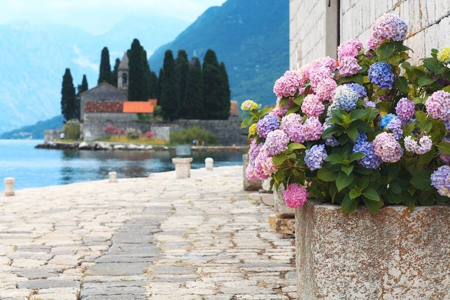 From Dubrovnik: Montenegro Highlights Day Tour - Practical tips for a smoother day