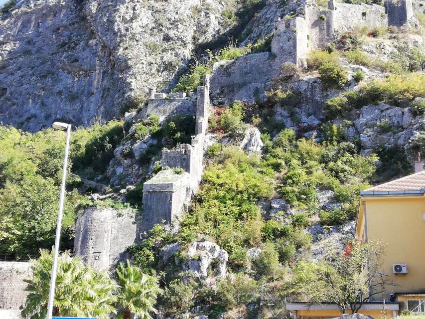 From Dubrovnik: Montenegro, Kotor City Tour - Should you book the Montenegro and Kotor tour?