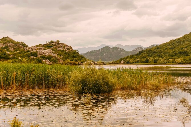 From Virpazar: Visit Karuč, the hidden pearl of Lake Skadar - What the $99.74 price really buys