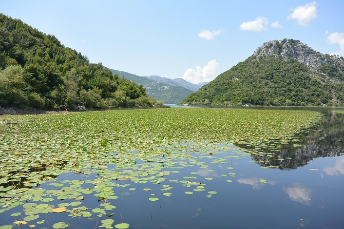 Gastronomy and Sightseeing in Montenegro - Lake Skadar & Cetinje Private Tour - Pavlova Strana, a ten-minute view worth the stop