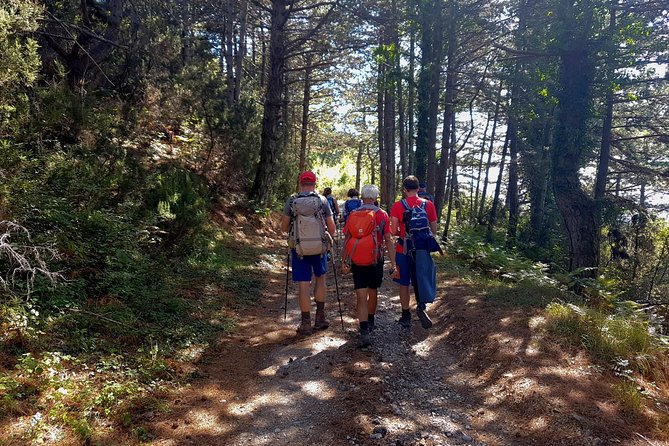 Hiking Vrmac peninsula with panoramic view on Kotor bay - Fort Vrmac and its Austro-Hungarian past