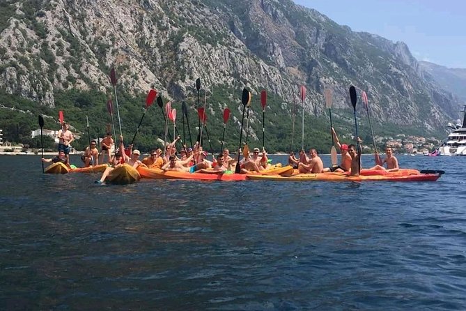 Kayak active tour - What the guides add to the morning