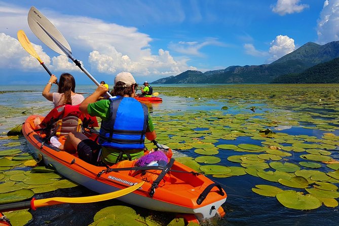 Kayak Guided Tour Skadar lake - Adventure in National park - Key points at a glance