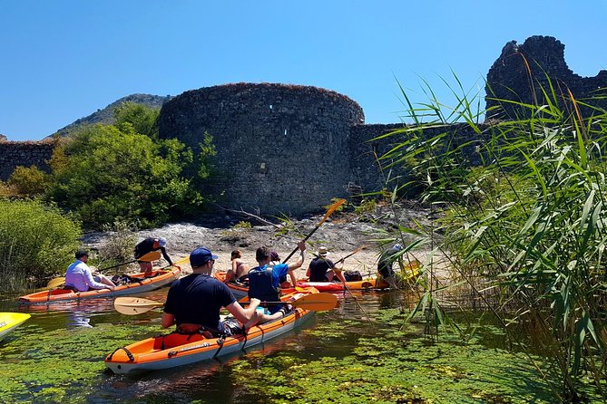 Kayak Guided Tour Skadar lake - Adventure in National park - What the kayaking feels like in real conditions