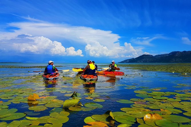 Kayak Guided Tour Skadar lake - Adventure in National park - The guide and the local side of the tour
