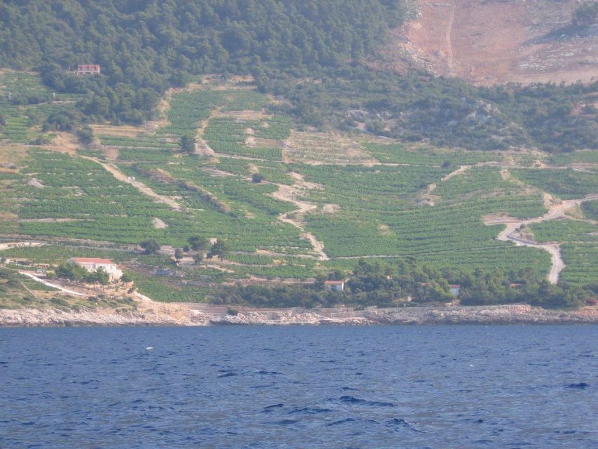 Korčula & Ston Full-Day Private Tour from Dubrovnik - Why this long day works from Dubrovnik