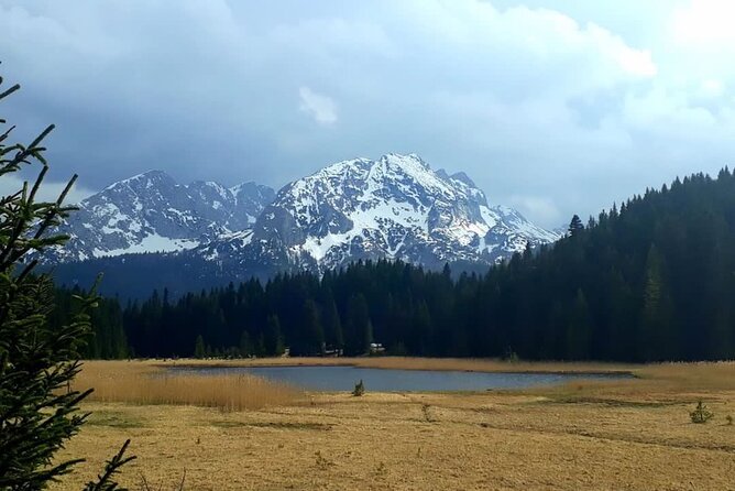 Kotor Tour to Durmitor - Black Lake & Tara River Bridge - The Tara River Bridge and Europe’s great canyon