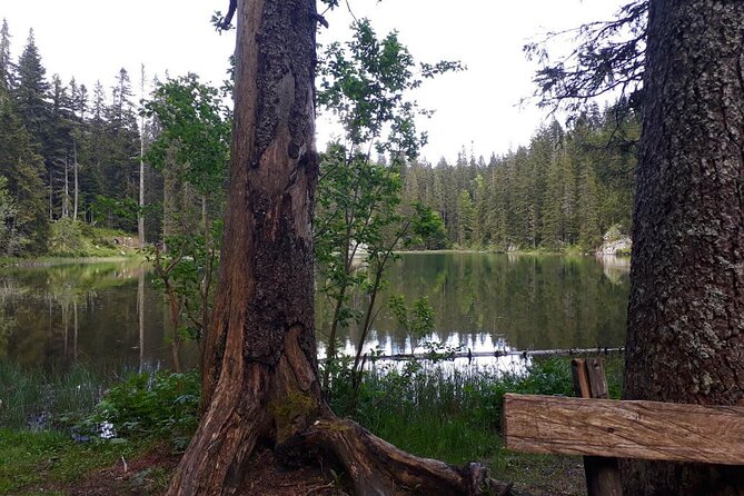 Kotor Tour to Durmitor - Black Lake & Tara River Bridge - Should you add the Tara zip line?