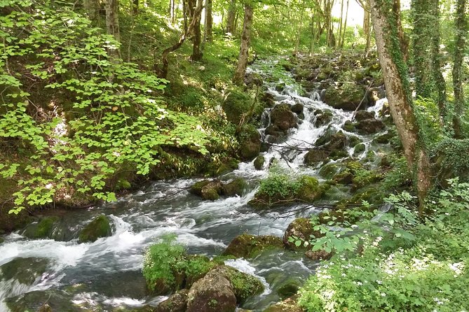 Moraca, Tara & Piva canyons with Durmitor national park - Tara Canyon supplies the day’s biggest scale
