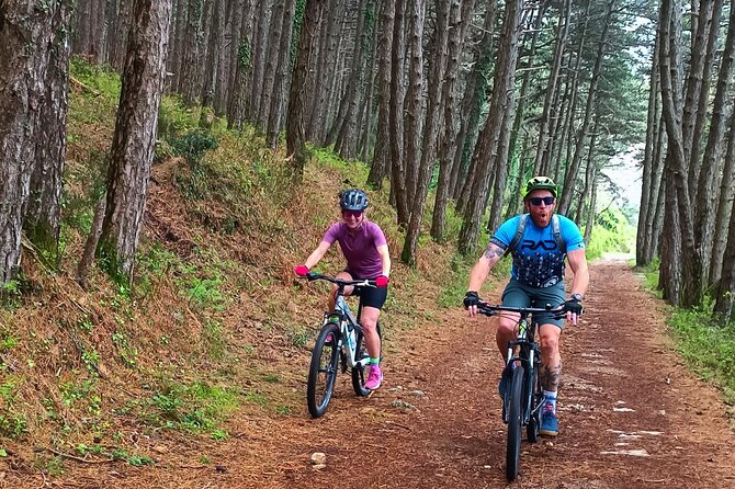 Mountain Biking on Vrmac peninsula - Panoramic view on Kotor bay - From Trojica into the Vrmac peninsula