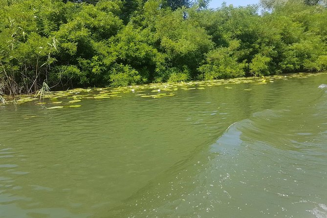 National park Skadar Lake (Private tour) - Two hours on and around Lake Skadar