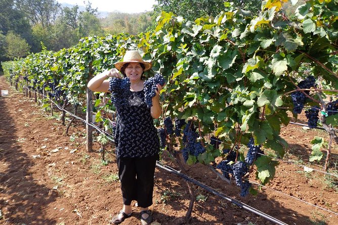 National parks and wine tasting (NP Lovcen, NP Skadar lake, Cetinje, Njegusi) - Guides, pacing, and the private-tour advantage