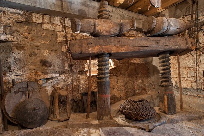 Olive oil farm to fork experience & short walking tour of Kotor - From Kotor’s stone lanes to Luštica’s olive groves