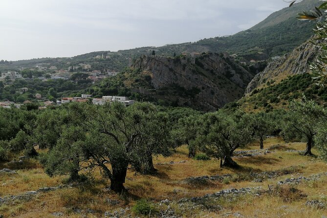 Port of Bar tour - Explore Adriatic area - Bar and Ulcinj tour - Why Bar and Ulcinj make a strong half-day pairing