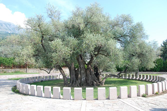 Port of Bar tour - Explore Adriatic area - Bar and Ulcinj tour - Booking, cancellation, and small practical details
