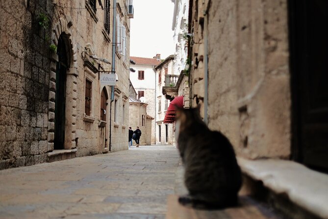 Port of Kotor - Kotor-Perast-Our lady of the rocks private tour - Is $264.34 per person a fair price?