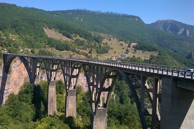 Private Full-Day Tour in Moraca and Tara Canyons, Durmitor & Biogradska Gora NP - Biogradska Gora protects an ancient forest