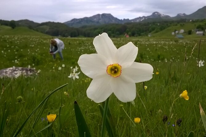 Private Full-Day Tour in Moraca and Tara Canyons, Durmitor & Biogradska Gora NP - Nino’s guiding style is a major part of the value