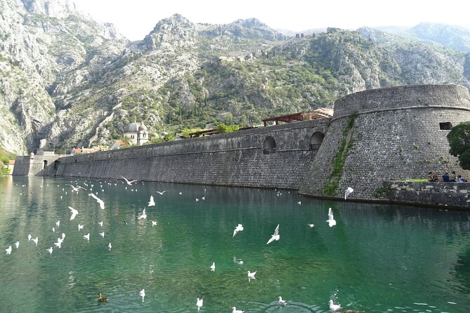 Private Full-Day Tour -Kotor tour, Saint Stefan & NP Skadar Lake - What makes guide Nino important