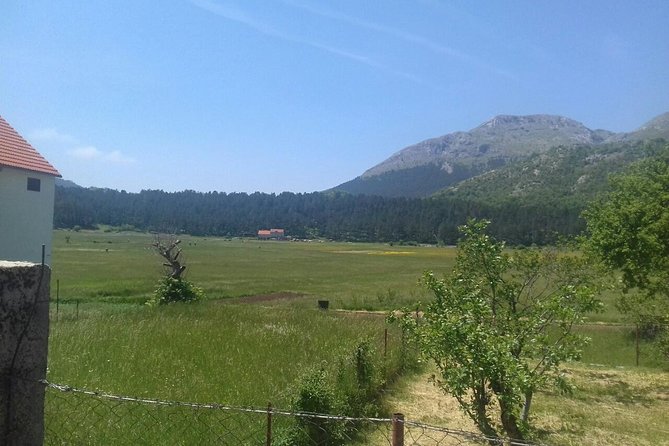 Private National Park Lovcen with food and wine tasting - Njegusi: Prosciutto, Cheese, Wine, and Family Traditions