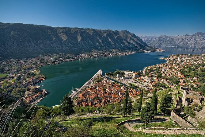Private Transfer from Kotor to Tivat airport - The driver service: what earns your trust