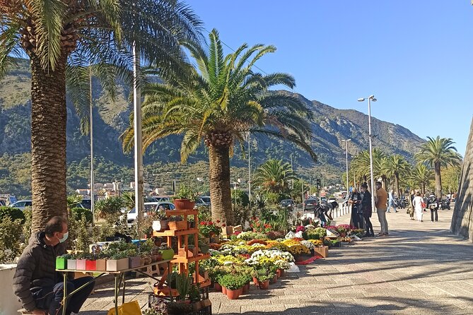 Private Walking tour with Wine and Food - Why the guide can matter more than the route
