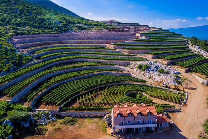 Private Wine Tasting Activity at Lipovac Winery - Key points at a glance