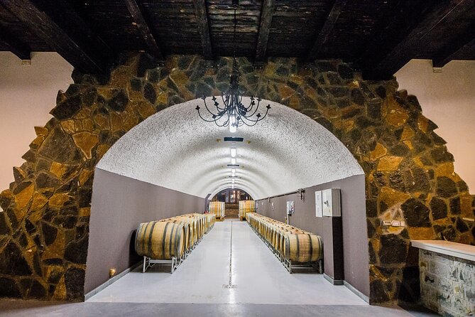 Private Wine Tasting Activity at Lipovac Winery - Walking through the vineyard