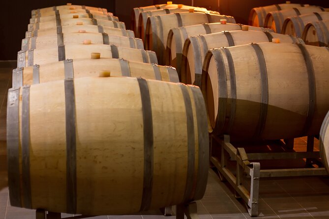 Private Wine Tasting Activity at Lipovac Winery - The 60-meter underground cellar