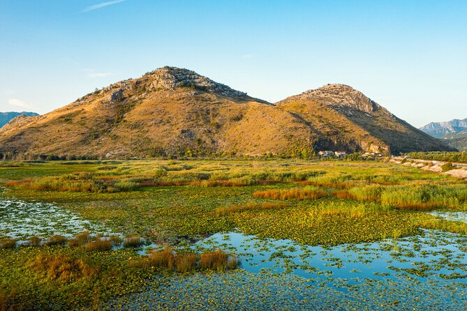 Skadar Lake National Park Guided Boat Tour with Wooden Boat - Kamenik, lilies, and three wild islands