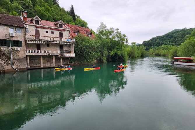 Skadar Lake on kayaks Experience with Spectacular Views - The seasonal difference: clear water or blooming lilies