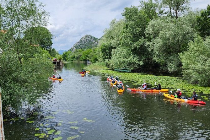 Skadar Lake on kayaks Experience with Spectacular Views - What the $47 price really covers