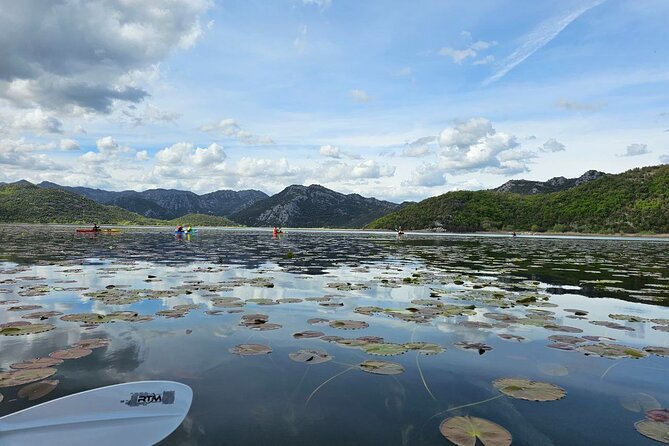 Skadar Lake on kayaks Experience with Spectacular Views - Learning the basics before the long paddle
