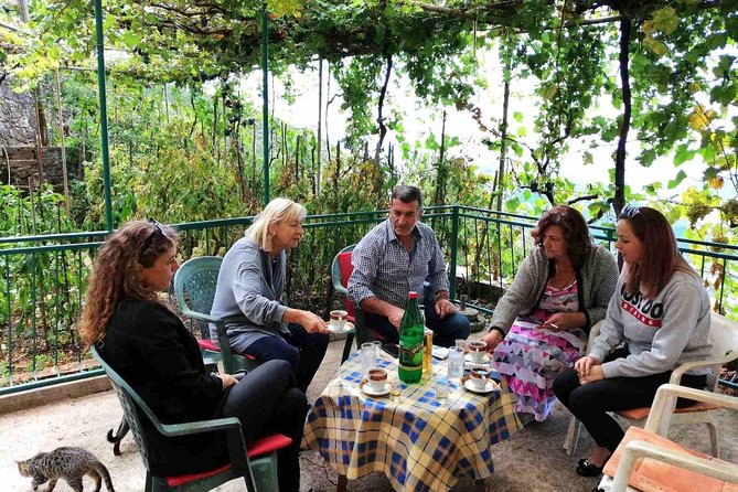 Unique gastro experience with locals in high hills above Budva! - Key things to know before booking