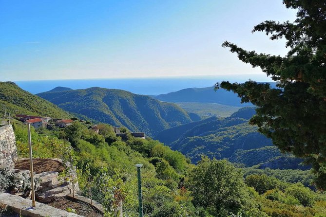 Unique gastro experience with locals in high hills above Budva! - Leaving Budva for the hills above the bay